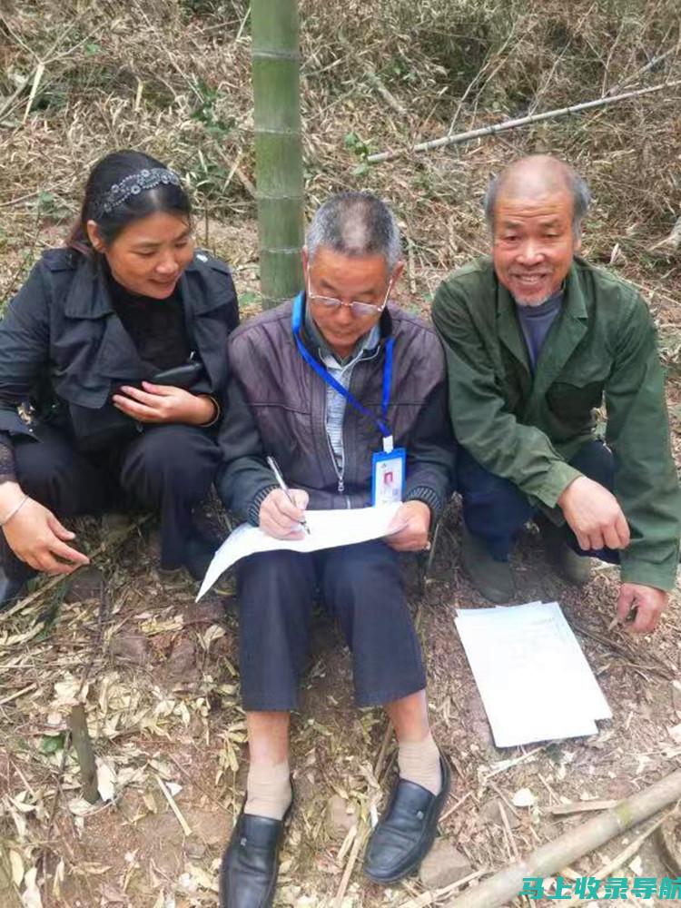 深度解读乡镇统计站站长级别：掌握其层级及职能变化